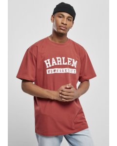 Pánské tričko krátký rukáv // South Pole Harlem Tee brick red