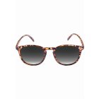 Sluneční brýle // MasterDis Sunglasses Arthur Youth havanna/grey